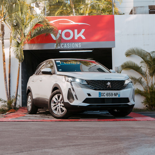 Peugeot 3008 Active 130CV 2021